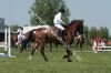 IMG_6836.jpg