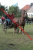 IMG_3391.jpg