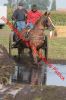 IMG_3426.jpg