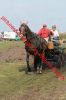 IMG_3478.jpg