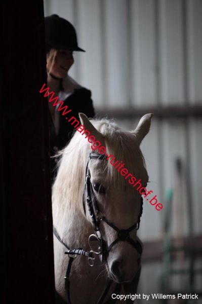 Klik op de foto om originele grootte te bekijken