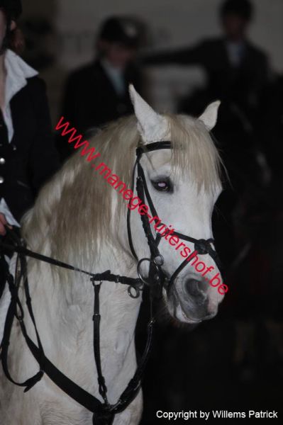 Klik op de foto om originele grootte te bekijken