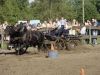 DSC09169_JPG.jpg