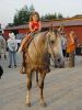 DSC09657_JPG.jpg