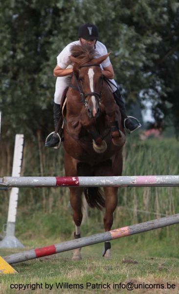 Klik op de foto om originele grootte te bekijken