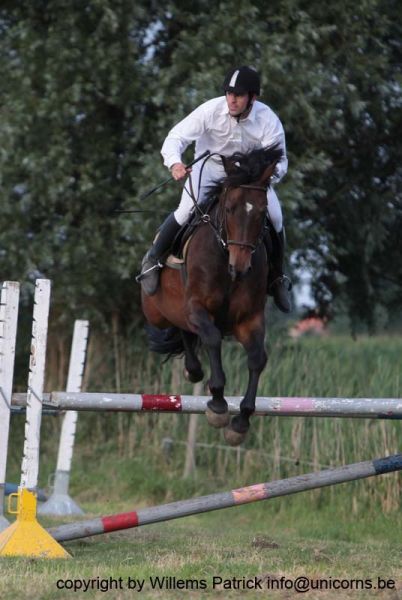 Klik op de foto om originele grootte te bekijken