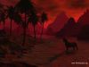 unicorns-284.jpg