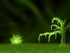 unicorns-344.jpg